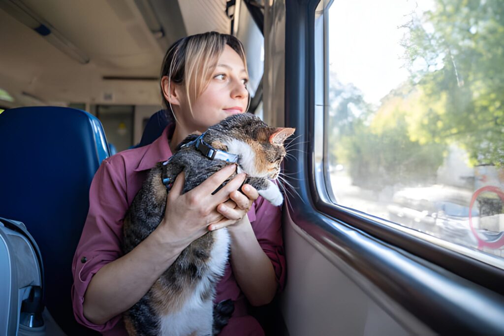 Is it healthy to keep a Pallas's cat as a pet