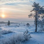The Cold Season Is Coming to an End: What It Means for Different Countries