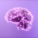 The Human Brain and Instant Decisions: Why We Change Our Minds So Quickly